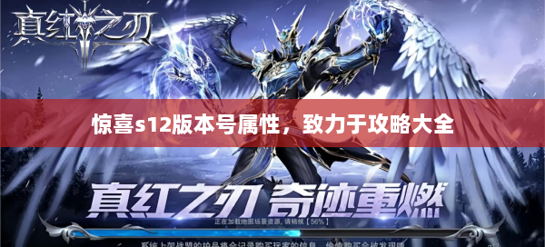 惊喜s12版本号属性，致力于攻略大全